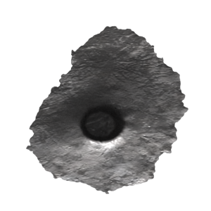 bullet shot hole PNG image