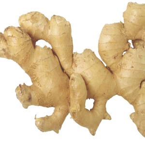 Ginger PNG
