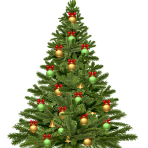 Christmas tree PNG