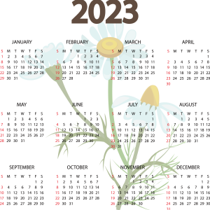 Calendar 2023 PNG