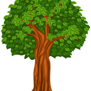 tree PNG