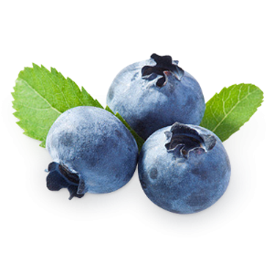 Blueberries PNG