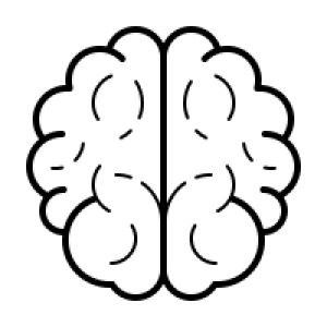 Brain PNG