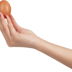 Egg in hand PNG image