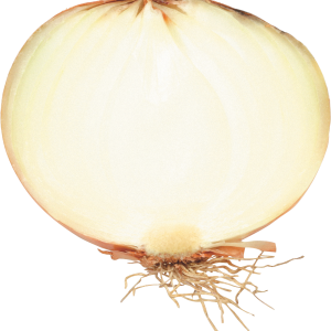 Onion PNG