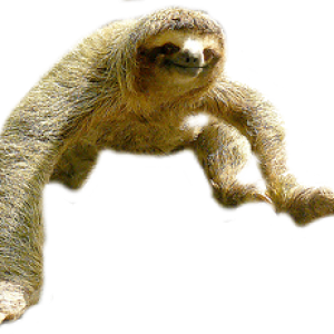 Sloth PNG