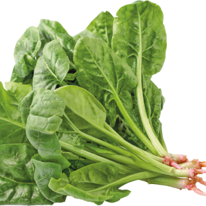 Spinach PNG