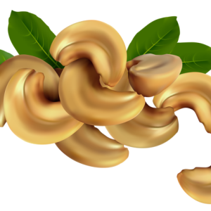 Cashew nut PNG