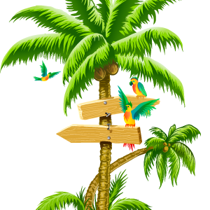 Tropical palm tree PNG