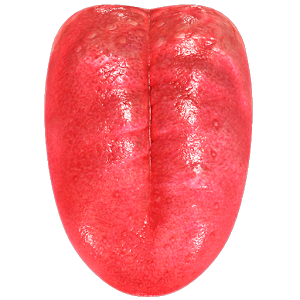 Tongue PNG