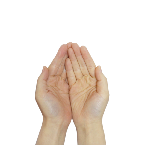 Praying hands PNG