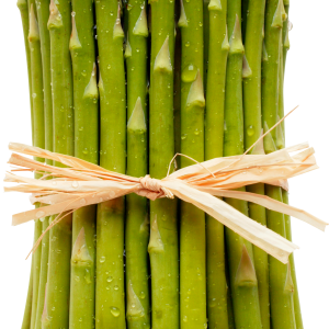 Asparagus PNG