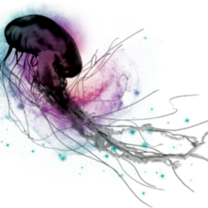 Jellyfish PNG