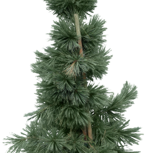 Fir-tree PNG image
