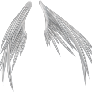 Wings PNG