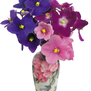 Vase PNG