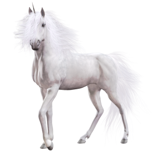 Unicorn PNG