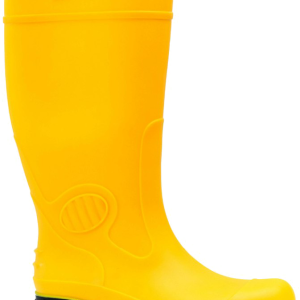 Rubber boots PNG