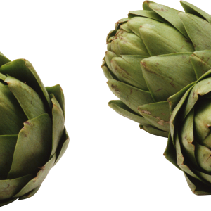 Artichokes PNG