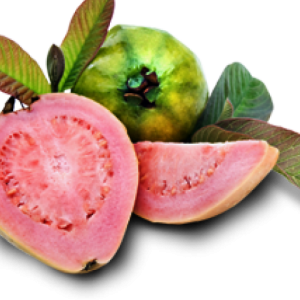 Guava PNG
