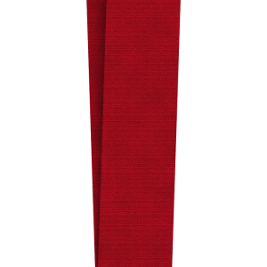 Gold medal PNG