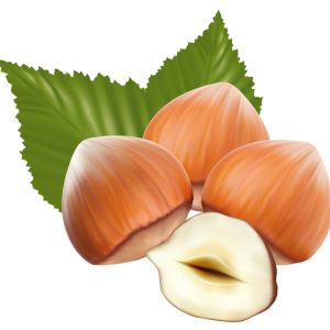 hazelnut PNG