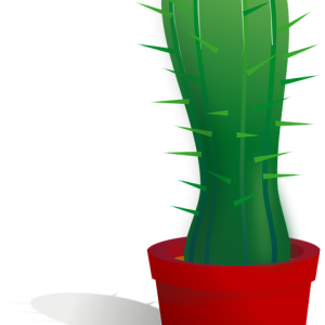 Cactus PNG image