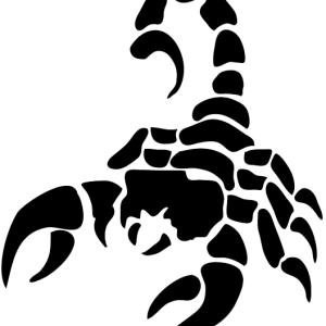 Scorpion tattoo silhouette PNG