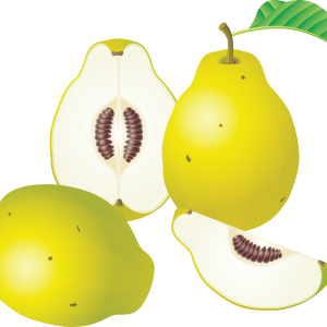 Pear PNG image