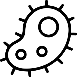 Bacteria PNG