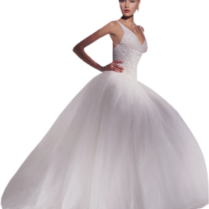 Bride dress PNG