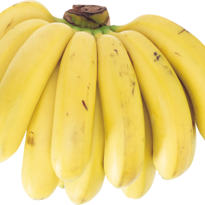 Several bananas PNG image