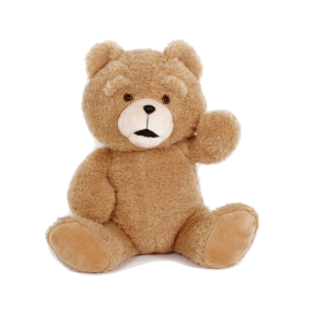Teddy bear PNG