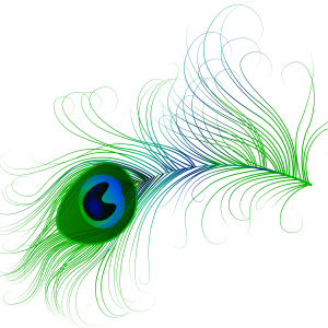 Feather color PNG