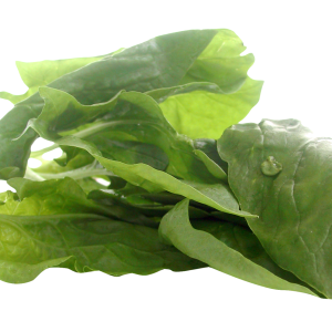 Spinach PNG