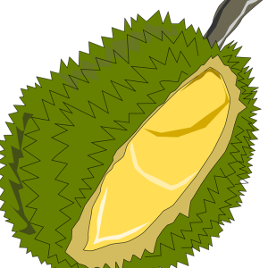 Jackfruit PNG