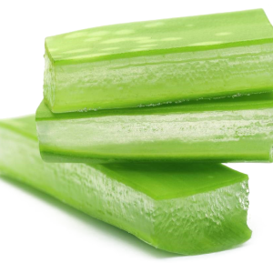 Aloe vera PNG