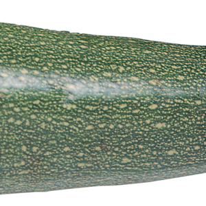 marrow PNG