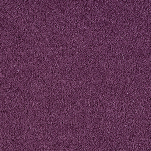 Carpet PNG