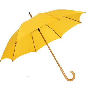 Umbrella PNG