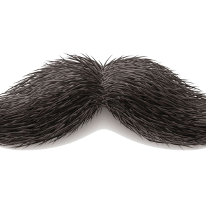 Moustache PNG