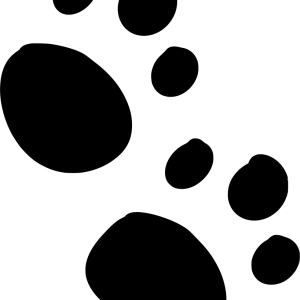 Paw PNG