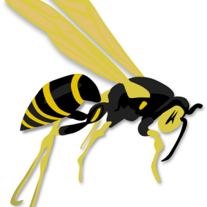 Wasp PNG