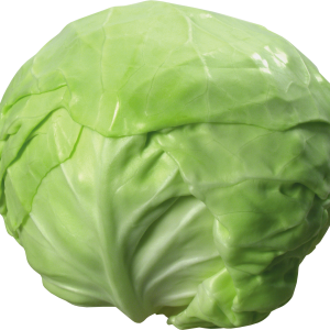 Cabbage PNG