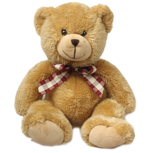 Teddy bear PNG