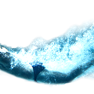 Swimming PNG