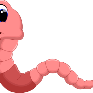 earthworm worm PNG