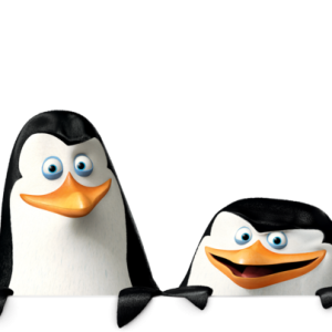 Madagascar penguins PNG