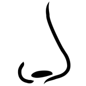 Human nose PNG