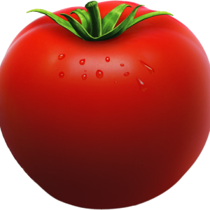 Tomato PNG image